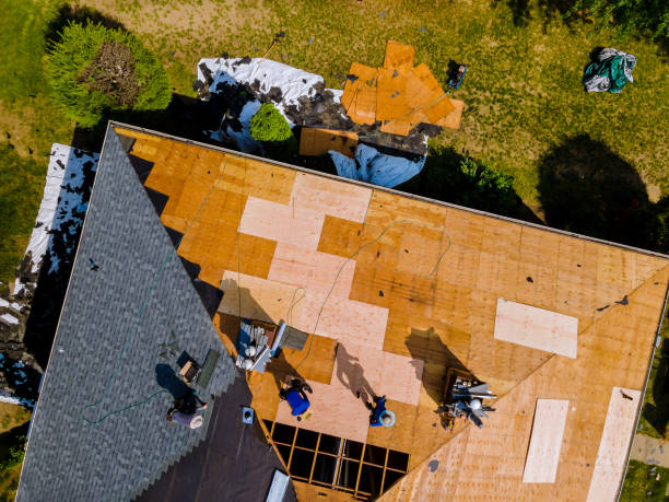 Best Roof Maintenance Services  in Mililani Mauka, HI