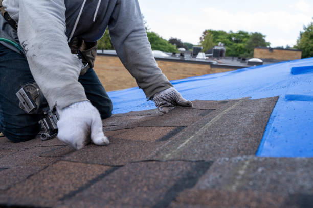 Quick and Trustworthy Emergency Roof Repair Services in Mililani Mauka, HI