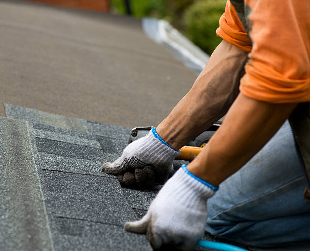 Best Storm Damage Roof Repair  in Mililani Mauka, HI